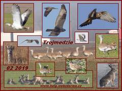 Trojmedzie 01